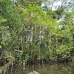 lake_mandicocha_la_v_0180_ecu0883.jpg